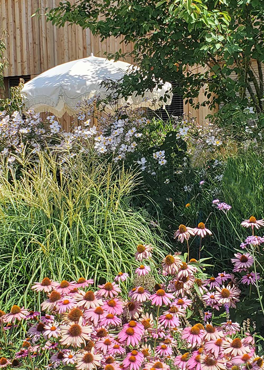 Gartenprojekt mit Stauden und Strukturpflanzen.