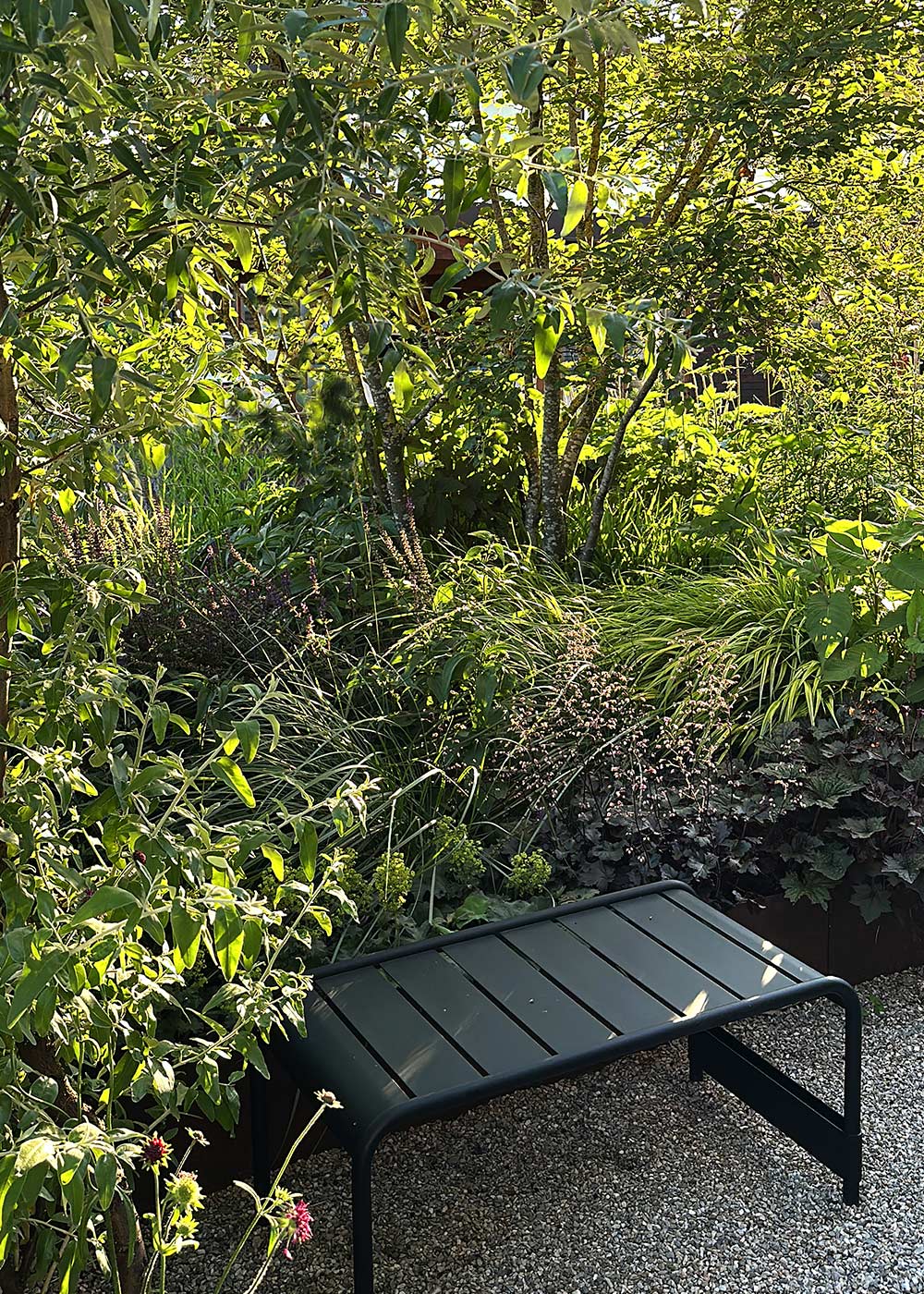 Gartenansicht mit Wegeführung und Bepflanzung.